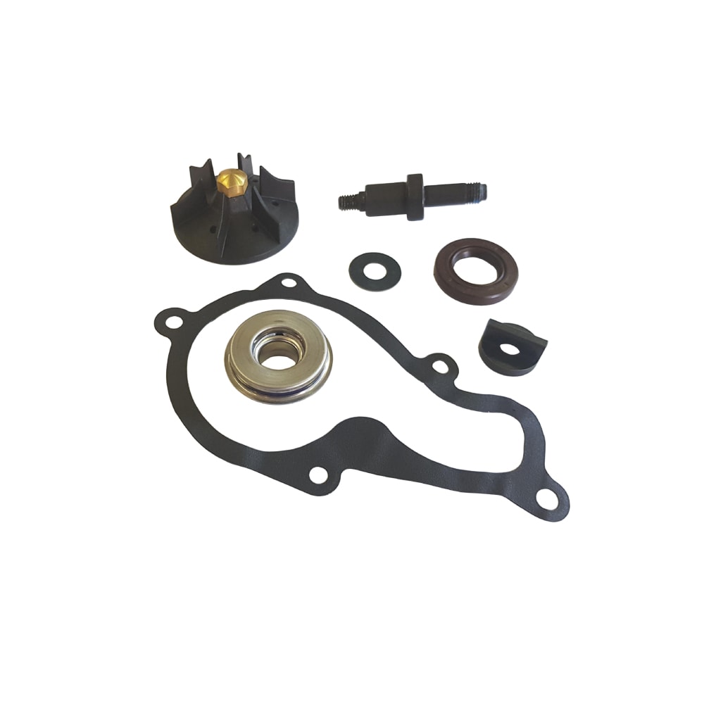 Kit Revisione Pompa Acqua PIAGGIO BEVERLY 350 cc