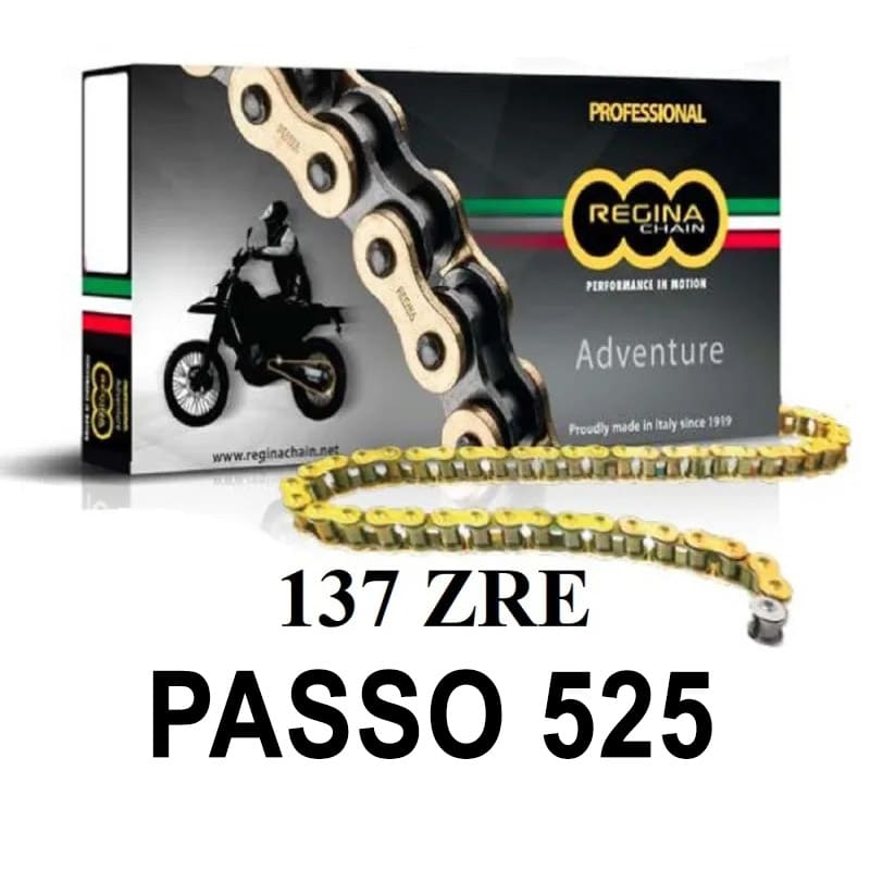 Catena 137ZRE 124 Maglie Passo 525 - Oro
